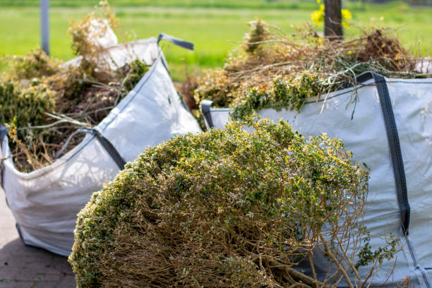Best Commercial Cleanout Services  in Harbor Isle, NY